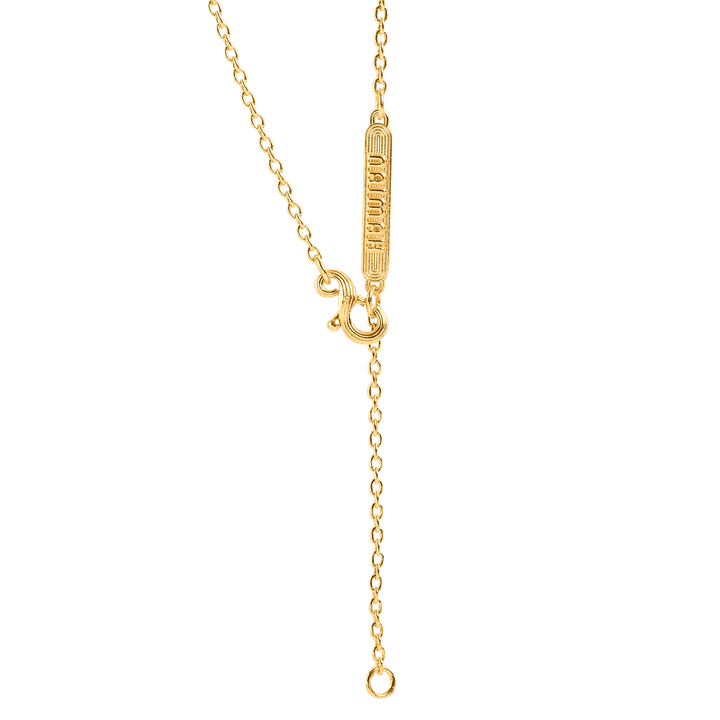 Raven Whistle Necklace