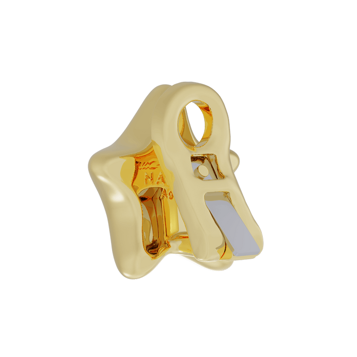 Super Star Earring